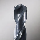 Broca con acabado de óxido negro Thunderbolt® de 3/8"