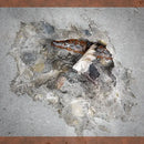 SDS-PLUS con 4 cortadores MX4™ 3/4" X 16" X 18"